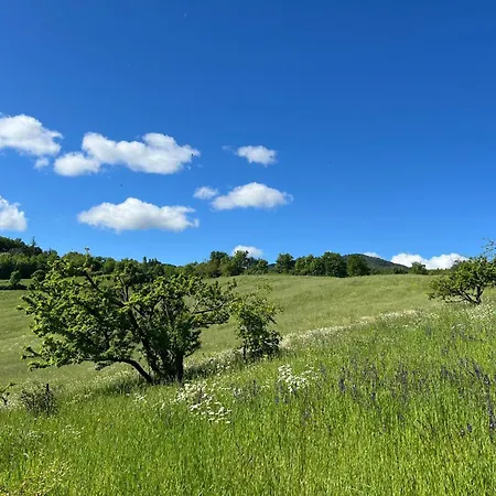 Immerso Nella Natura, Silenzio E Riservatezza A 550 M Di Quota Appartement Langhirano
