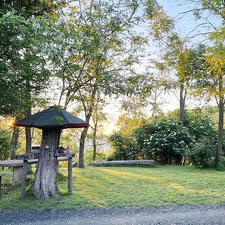 Immerso Nella Natura, Silenzio E Riservatezza A 550 M Di Quota Appartement Langhirano