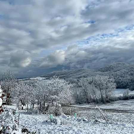 Immerso Nella Natura, Silenzio E Riservatezza A 550 M Di Quota Appartement