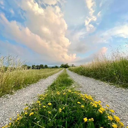 Immerso Nella Natura, Silenzio E Riservatezza A 550 M Di Quota Appartement Langhirano