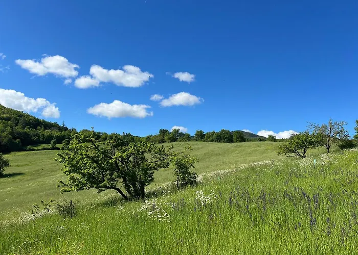 Immerso Nella Natura, Silenzio E Riservatezza A 550 M Di Quota Daire Langhirano
