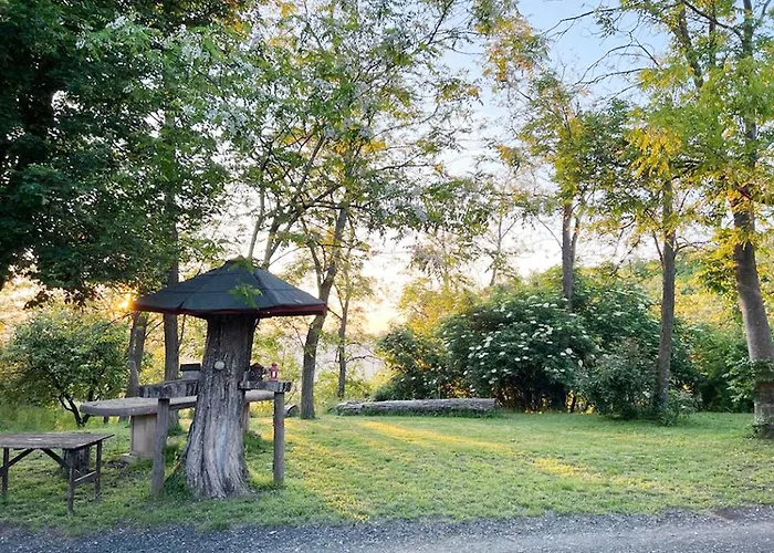 Immerso Nella Natura, Silenzio E Riservatezza A 550 M Di Quota Apartamento Langhirano