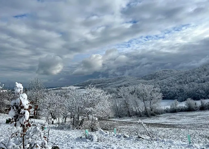 Immerso Nella Natura, Silenzio E Riservatezza A 550 M Di Quota Daire