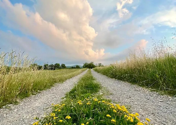 Immerso Nella Natura, Silenzio E Riservatezza A 550 M Di Quota Apartamento Langhirano